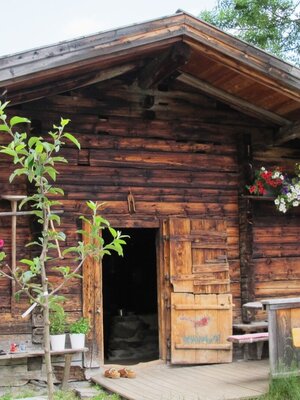 Wildschönau Farnkaseralm | © Wildschönau Tourismus