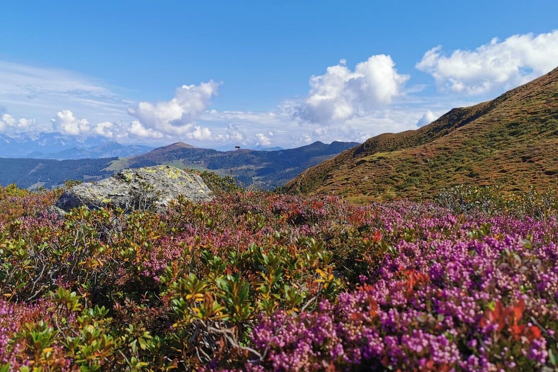 Lämpersberg Wanderung Wildschönau Auffach FG csilber (7).jpg | © Wildschönau Tourismus