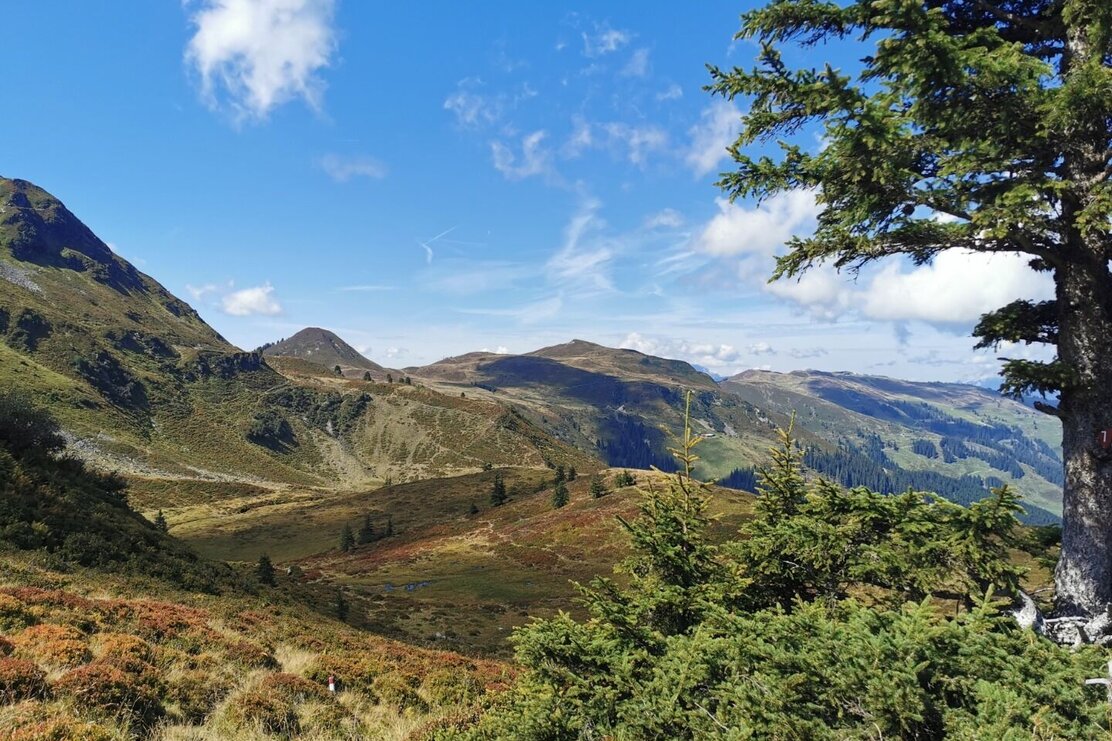 Lämpersberg Wanderung Wildschönau Auffach FG csilber (15).jpg | © Wildschönau Tourismus