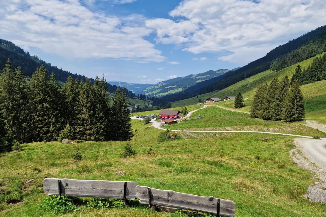 Schönangeralm Aussicht | © Wildschönau Tourismus
