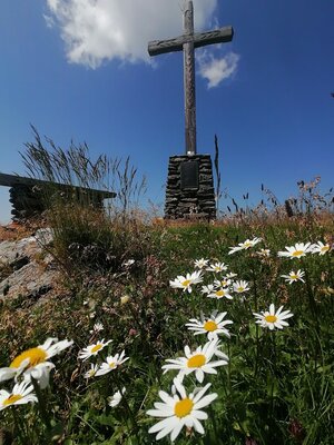Wildschönau Tourismus Sonnjoch Gipfelkreuz Margeriten Gewi.jpg | © Wildschönau Tourismus Wildschönau Tourismus Sonnjoch Gipfelkreuz Margeriten Gewi.jpg | © Wildschönau Tourismus