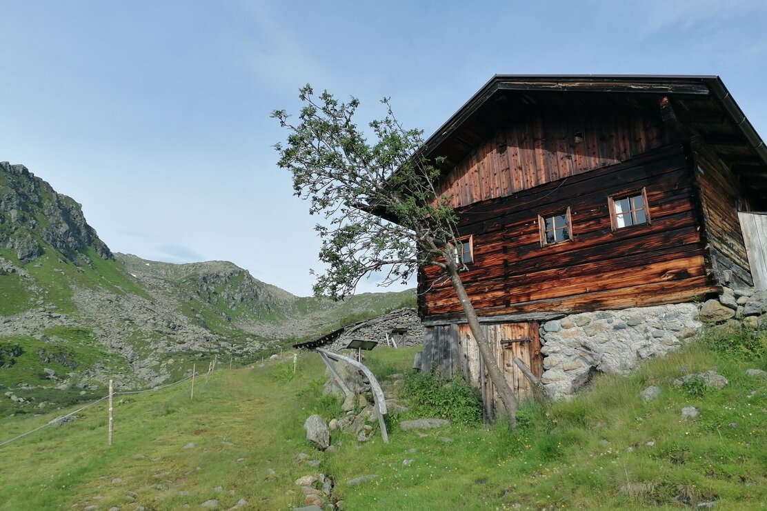 Wildschönau Tourismus Sonnjoch Gressensteinalm Gewi.jpg | © Wildschönau Tourismus