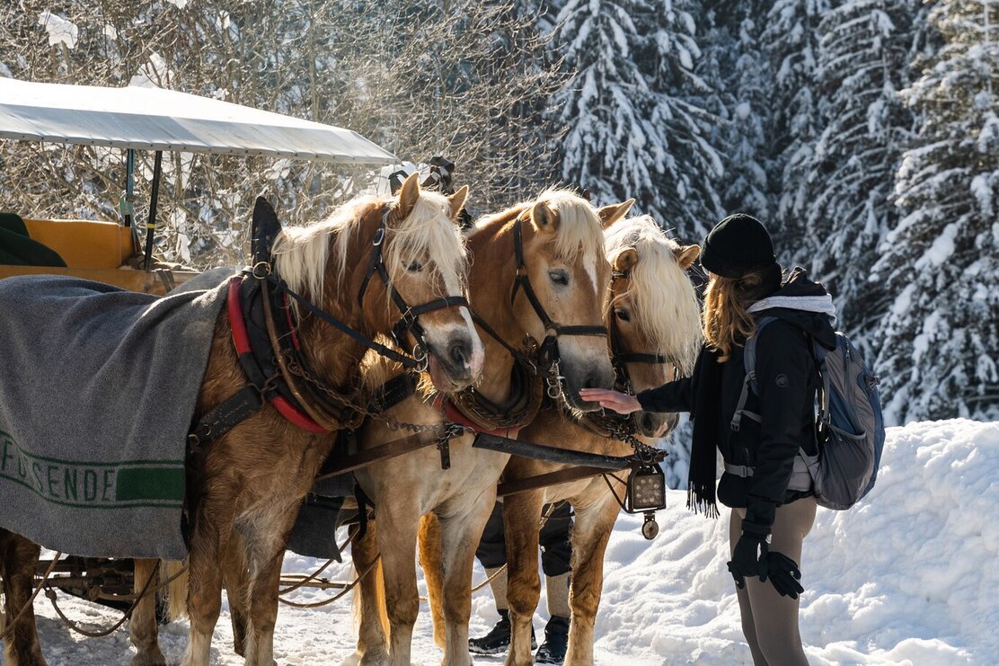 Wildschönau Schönanger ©Daniel Irkes(6).jpg Wildschönau Schönanger ©Daniel Irkes(6).jpg