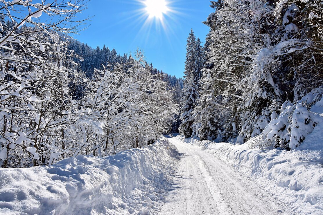 Straße Richtung Schönangeralm im Winter.JPG | © Wildschönau Tourismus Straße Richtung Schönangeralm im Winter.JPG | © Wildschönau Tourismus