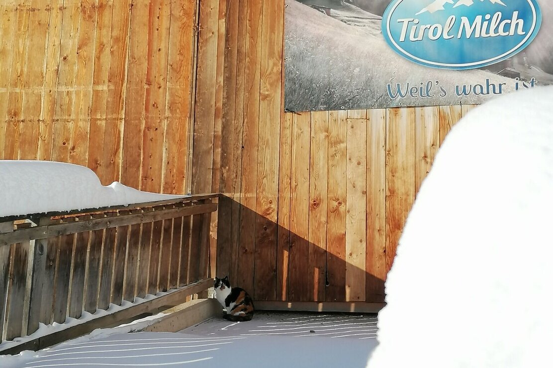 Wildschönau Oberau Sonnbergrunde | © Wildschönau Tourismus
