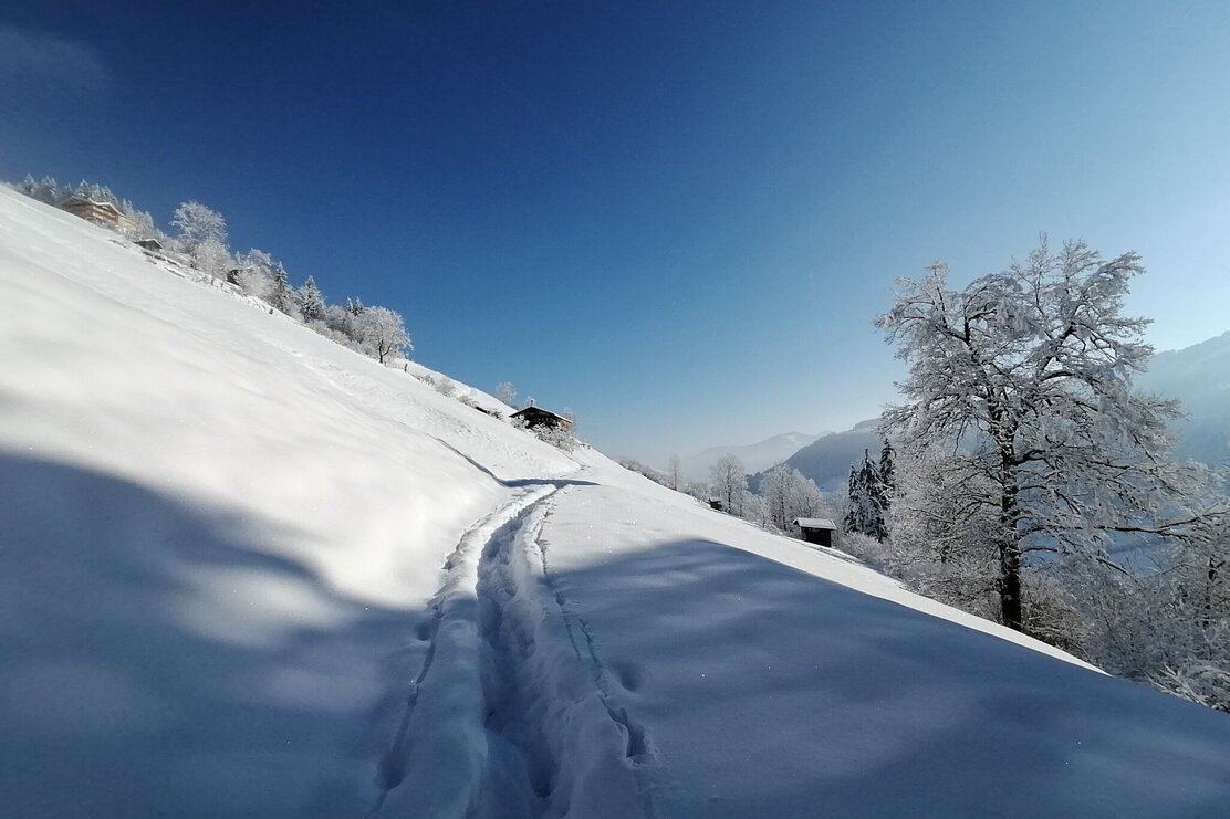 Wildschönau Oberau Stocker | © Wildschönau Tourismus