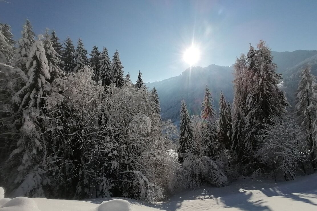 Wildschönau Oberau Sonnbergrunde | © Wildschönau Tourismus