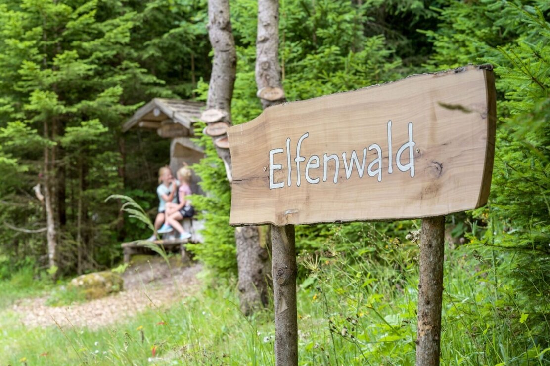 Wandern_Familie_TVB_Wildschoenau_07_2022_Dabernig_77.jpg | © Wildschönau Tourismus Wandern_Familie_TVB_Wildschoenau_07_2022_Dabernig_77.jpg | © Wildschönau Tourismus