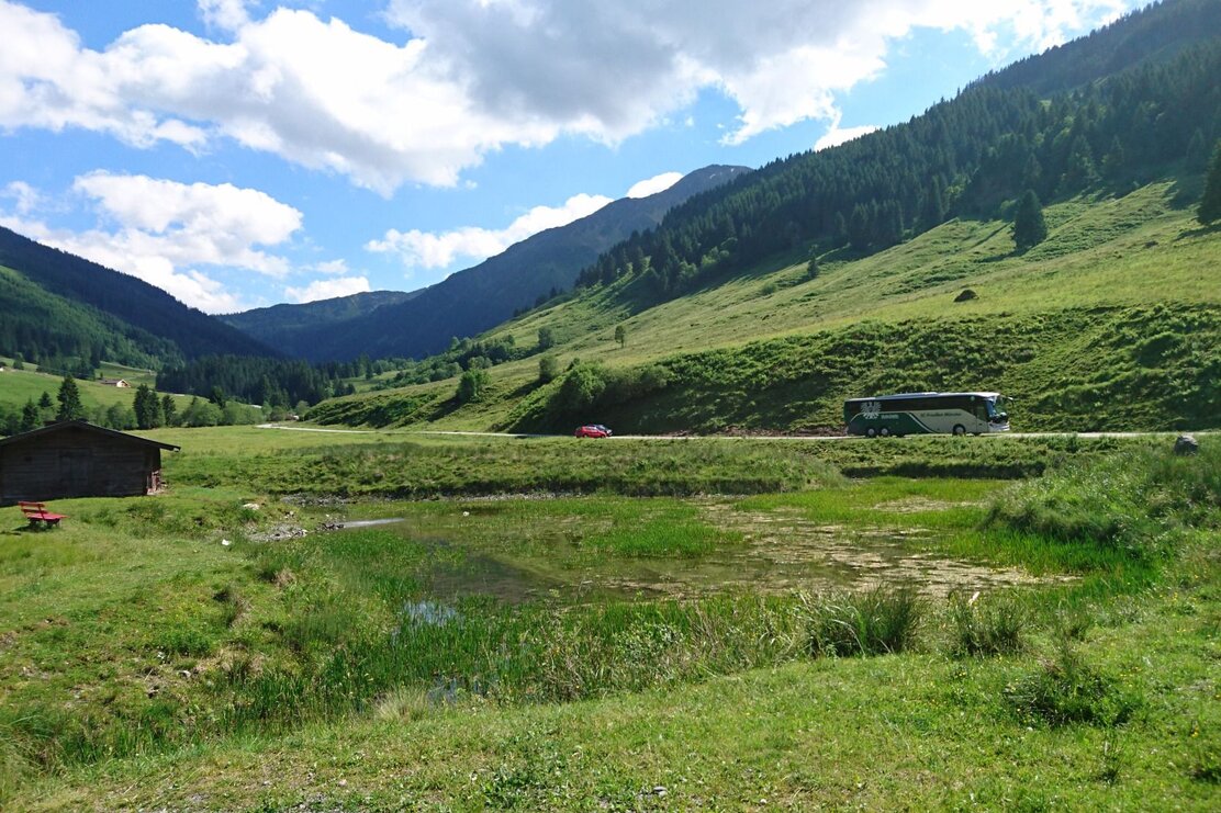 Bus auf der Schönangeralm Auffach Wildschönau  FG T.L. Rechte Wildschönau Tourismus.jpg | © Wildschönau Tourismus