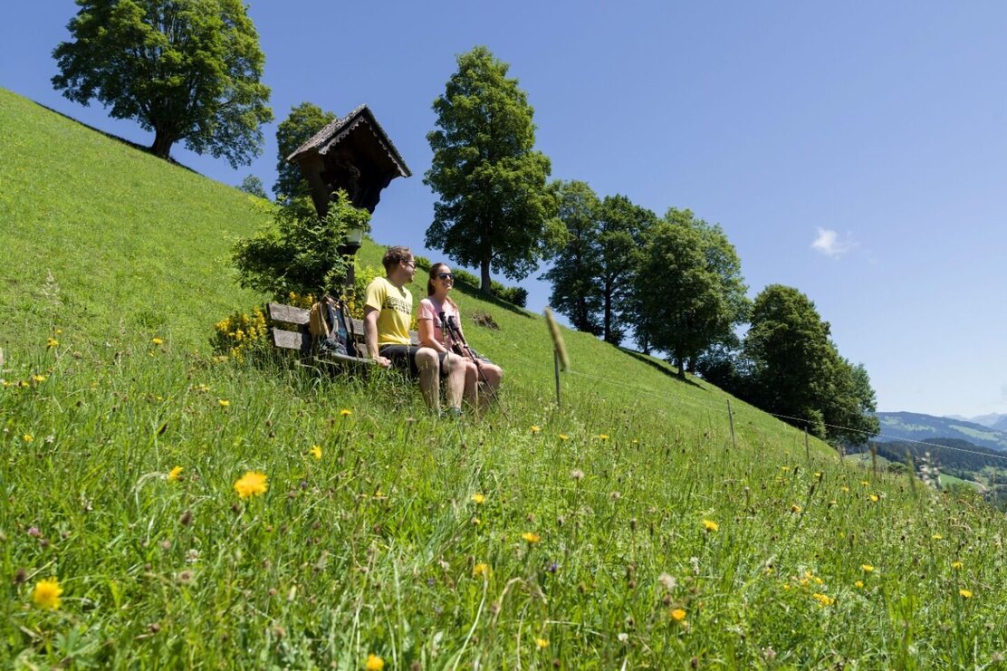 Wandern_Sommer_TVB_Wildschoenau_Dabernig_44.jpg | © Wildschönau Tourismus
