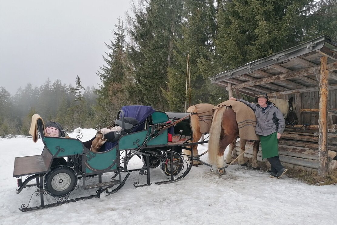 Wildschönau Niederau Foisching Kutschenfahrten 2.jpg | © Wildschönau Tourismus Wildschönau Niederau Foisching Kutschenfahrten 2.jpg | © Wildschönau Tourismus