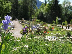 Hildegard von Bingen Garten | © Alpbachtal Tourismus