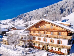Dorferwirt Winter