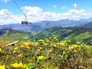 Markbachjochbahn Sommer | © Wildschönau Tourismus