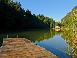 Naturjuwel Berglsteinersee im Sommer | © Alpbachtal Tourismus