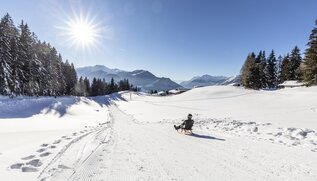 Panoramaweg Reith | © Alpbachtal Tourismus Panoramaweg Reith | © Alpbachtal Tourismus