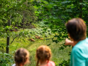 Wildgehege Foisching | © Wildschönau Tourismus