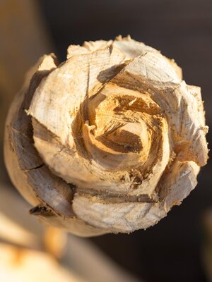Rosenhof_ Alpbach_Rose | © Photoegger