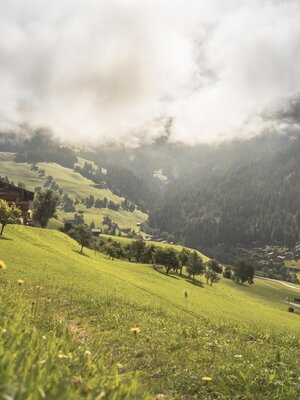 Heimatweg Alpbach Sautner (1)