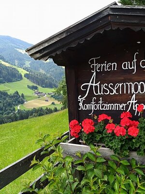 36609912_10209263475903575_3822229896520794112_n