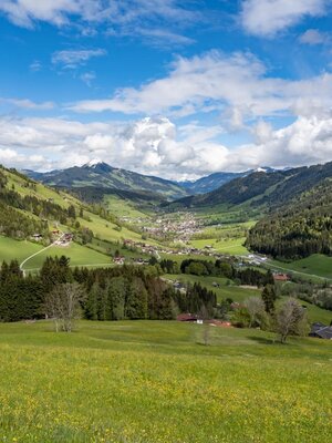 Niederau_Panorama_05_2021_Dabernig (2) (Large)