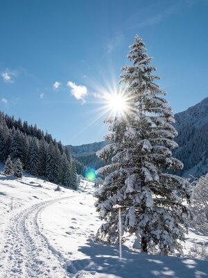 Schoenanger_Wildschoenau_12_2020_Winter_10